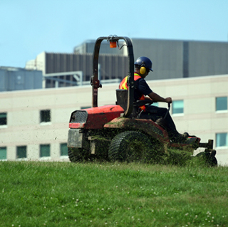 lawn maintenance